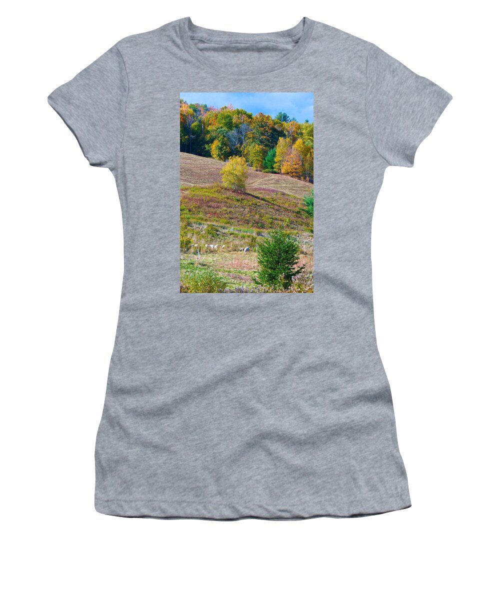 Landscapes Women's T-Shirt featuring the photograph Sheep Meadow in Autumn by Kristin Hatt