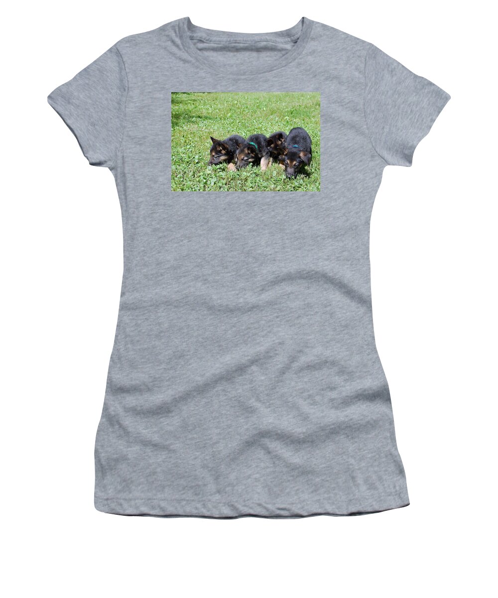 Animal.dog Women's T-Shirt featuring the photograph Shepherd Pups 10 by Aimee L Maher ALM GALLERY