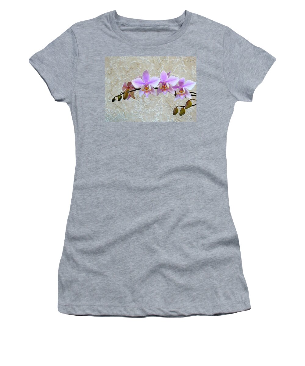 Flower Women's T-Shirt featuring the photograph Shilleriana by Pete Trenholm