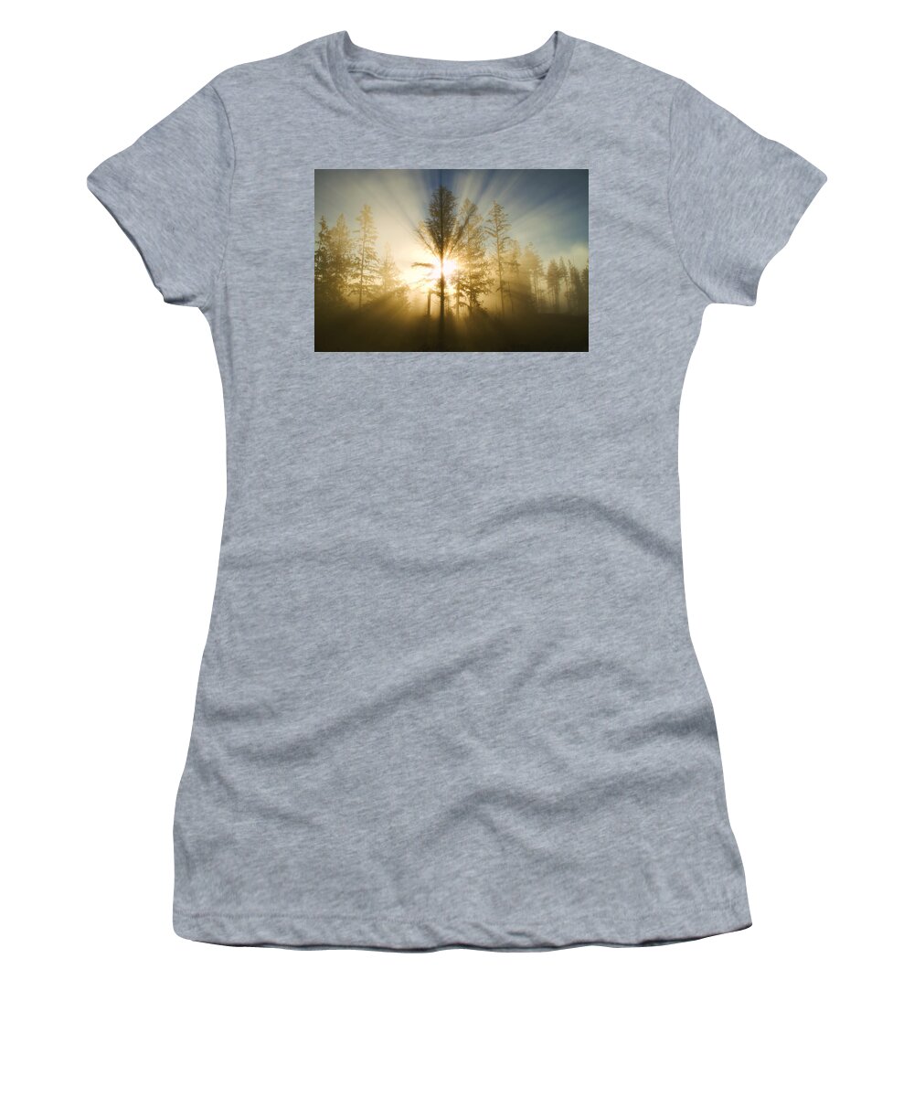 Sunshine Women's T-Shirt featuring the photograph Shining Through by Peggy Collins