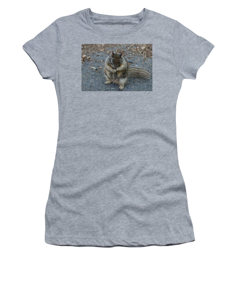 Ground Women's T-Shirt featuring the photograph Shy Guy by Christy Pooschke