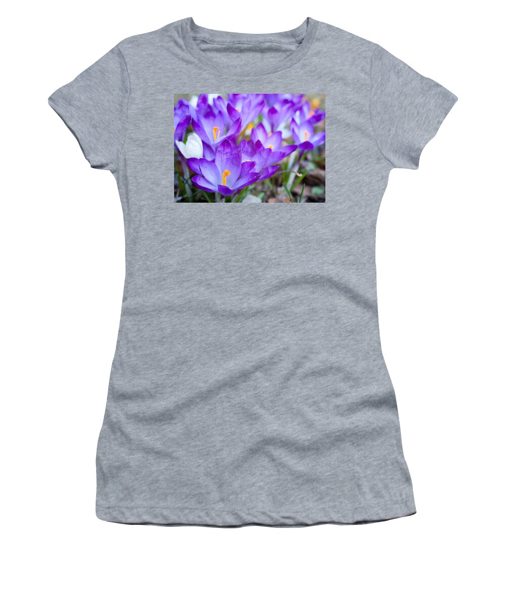 Crocus Women's T-Shirt featuring the photograph Signs of Spring by Shirley Radabaugh