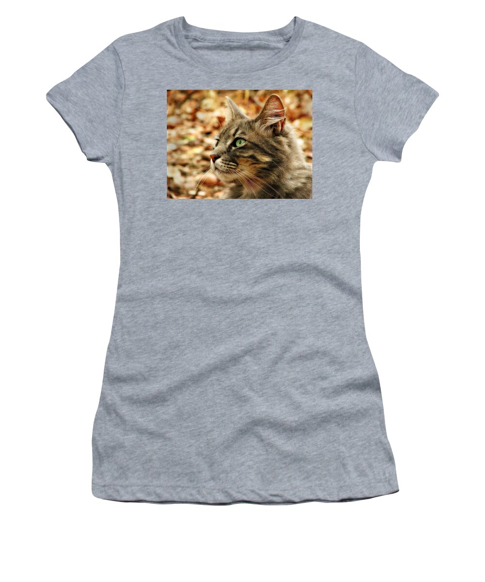 Cat Women's T-Shirt featuring the photograph Silver Grey Tabby Cat by Michelle Wrighton