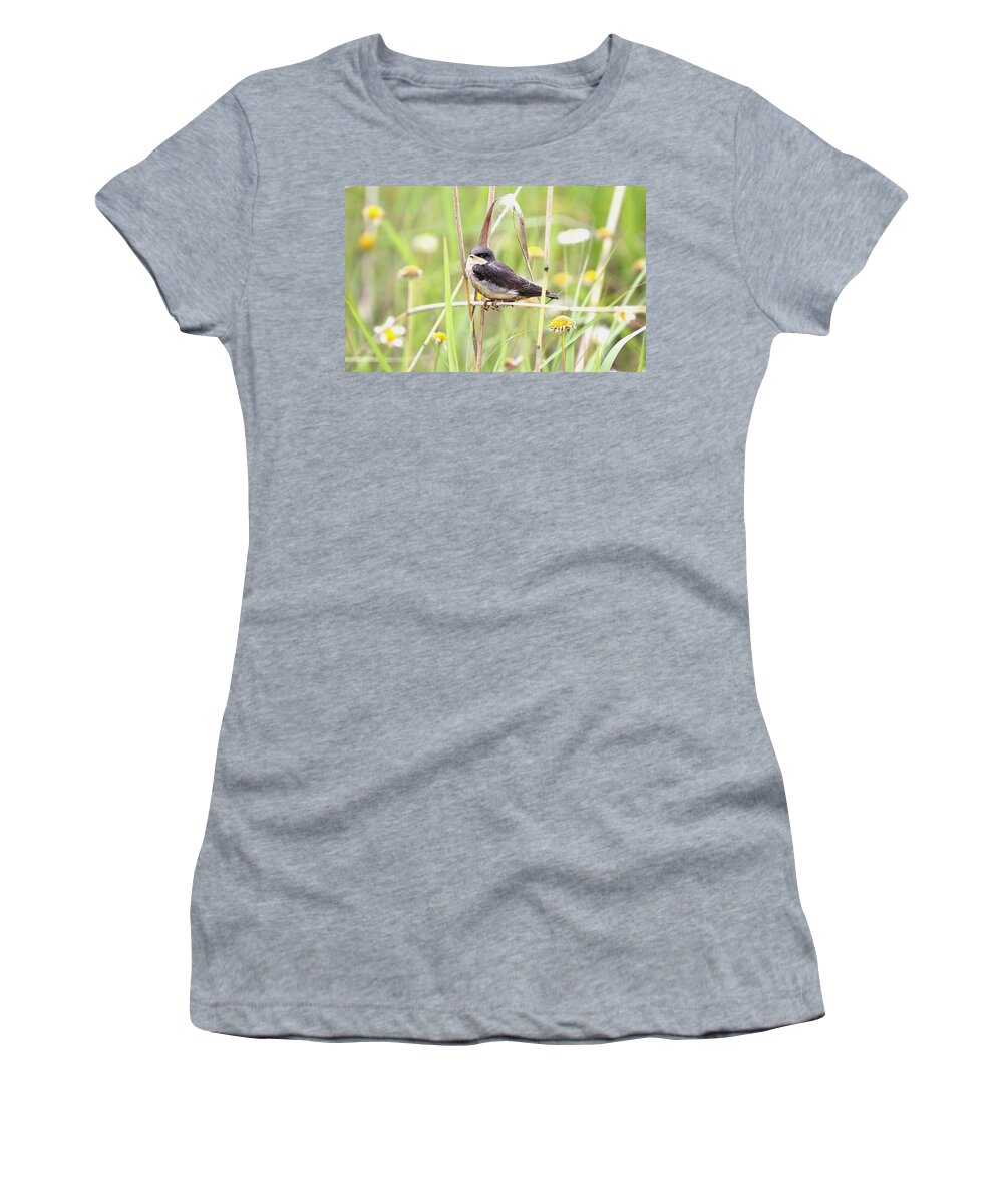 Eastern Kingsbird Women's T-Shirt featuring the photograph Sitin' Pretty by Elizabeth Winter