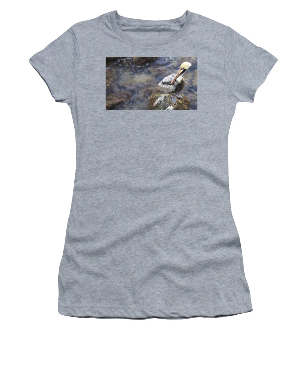 Florida Women's T-Shirt featuring the photograph Sitting on a Rock in the Bay by Shelley Neff