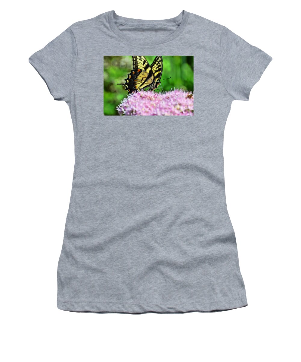 Butterfly Women's T-Shirt featuring the photograph Sitting Pretty by Judy Wolinsky