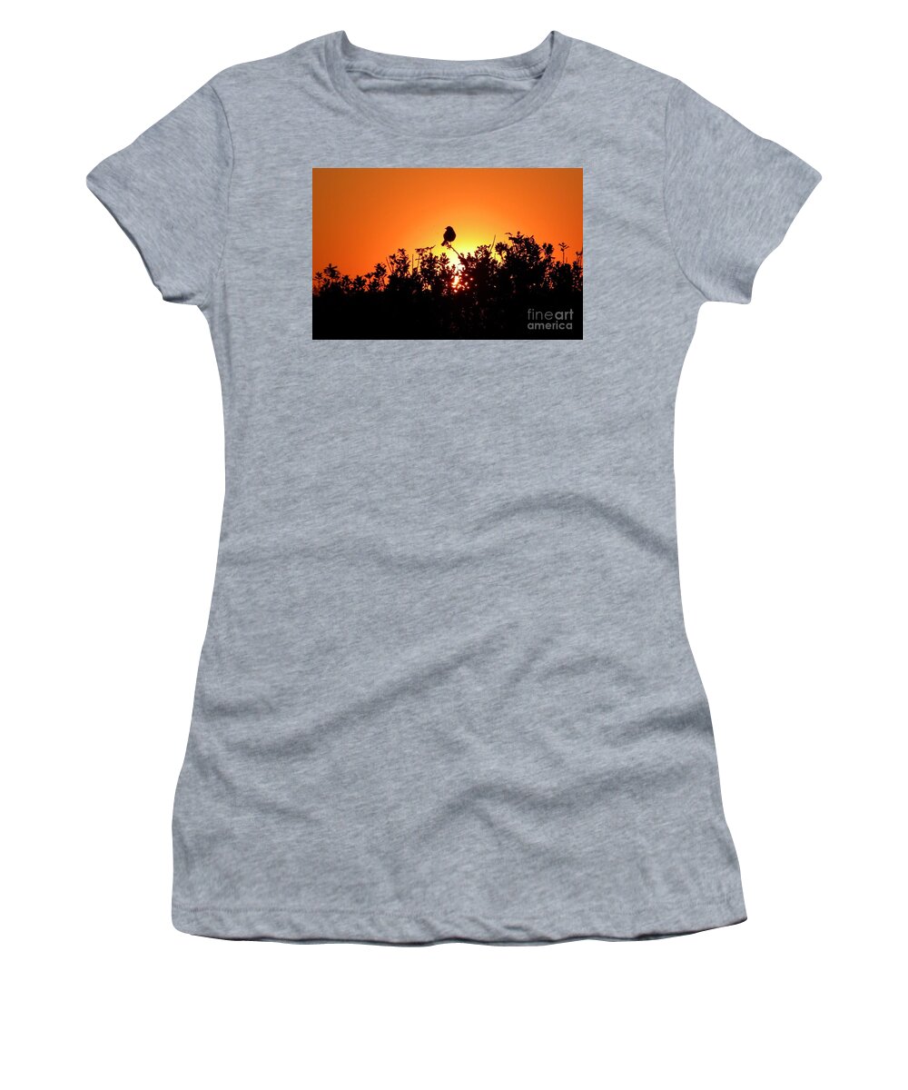 Postcard Women's T-Shirt featuring the digital art Sky Watcher by Matthew Seufer