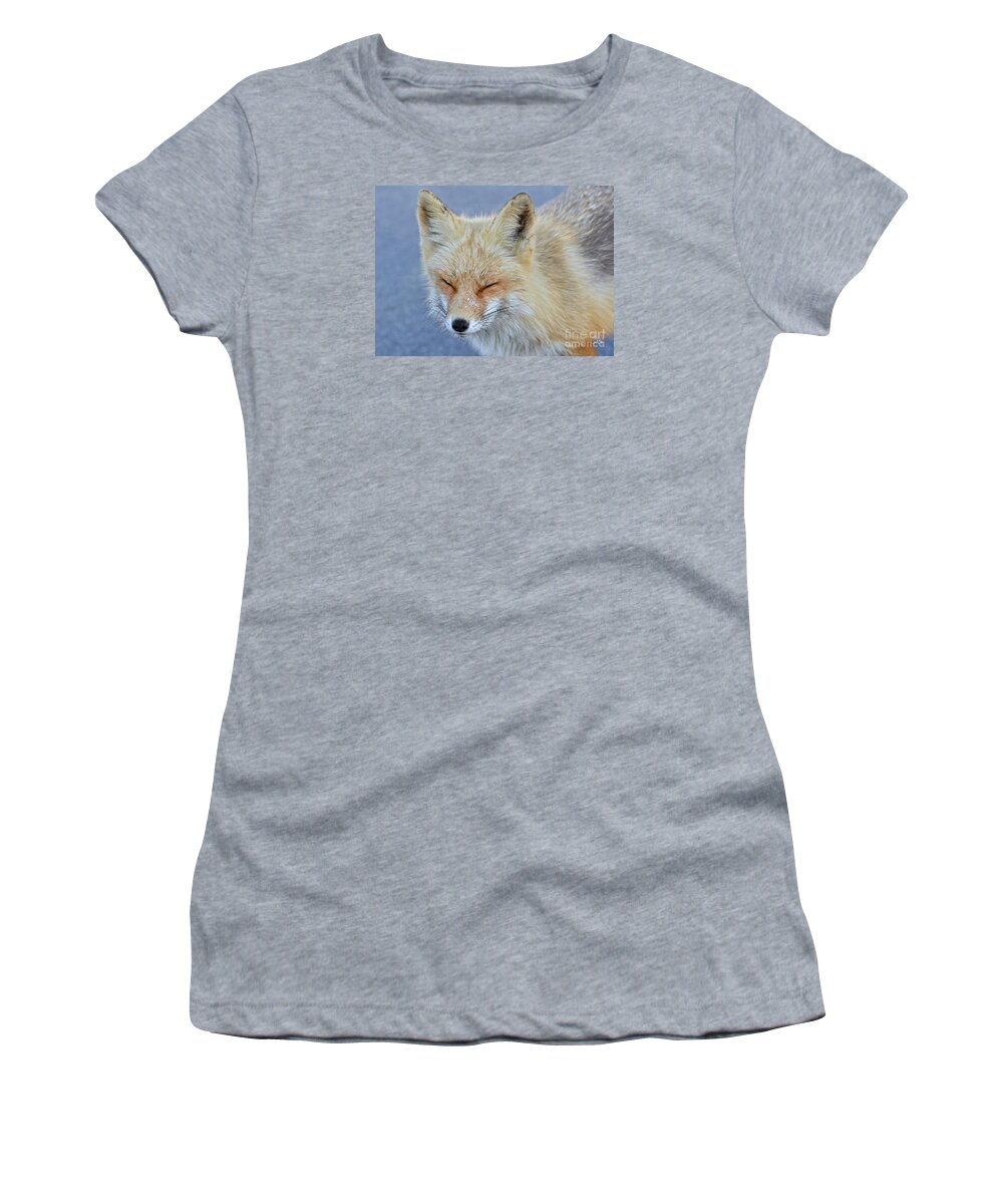 Fox Women's T-Shirt featuring the photograph Sleep walking by Sami Martin
