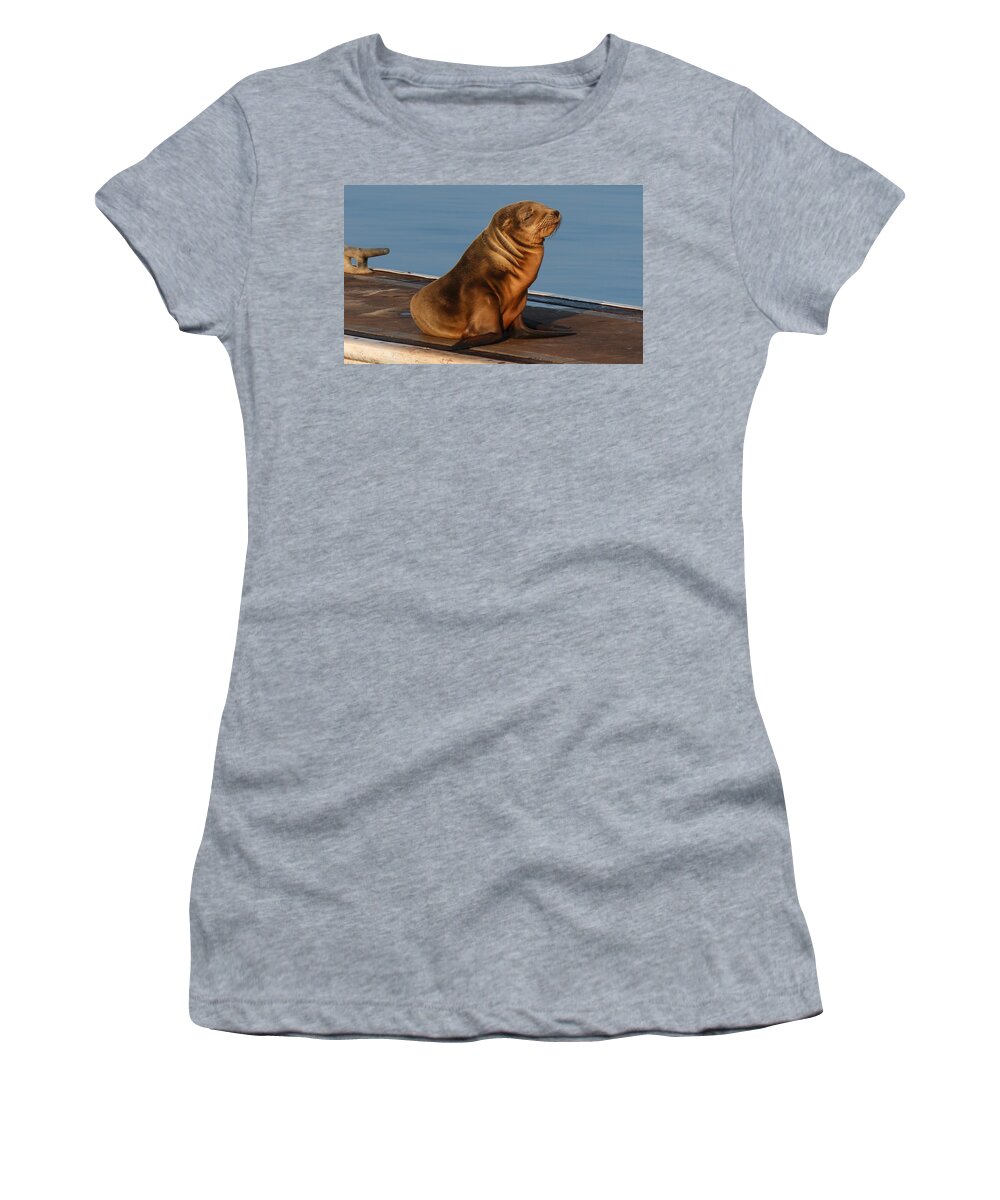 Wild Women's T-Shirt featuring the photograph Sleeping Wild Sea Lion Pup by Christy Pooschke