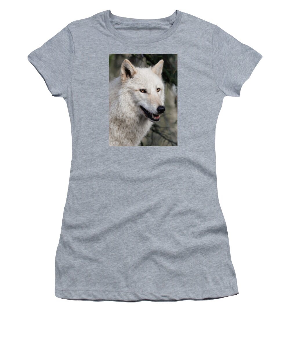 Wolves Women's T-Shirt featuring the photograph Smiling White Arctic Wolf by Athena Mckinzie