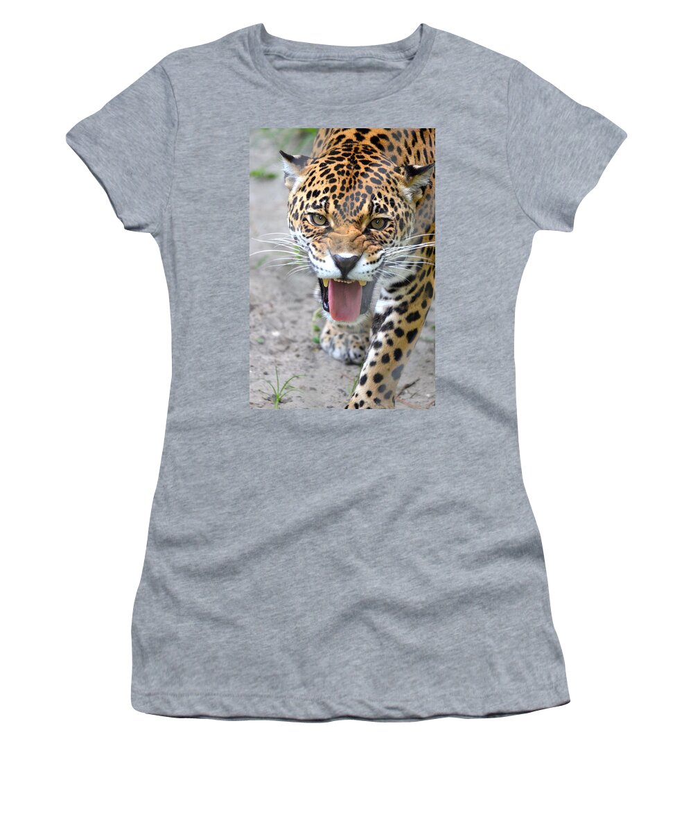 Snarl Women's T-Shirt featuring the photograph Snarling Jaguar by Richard Bryce and Family