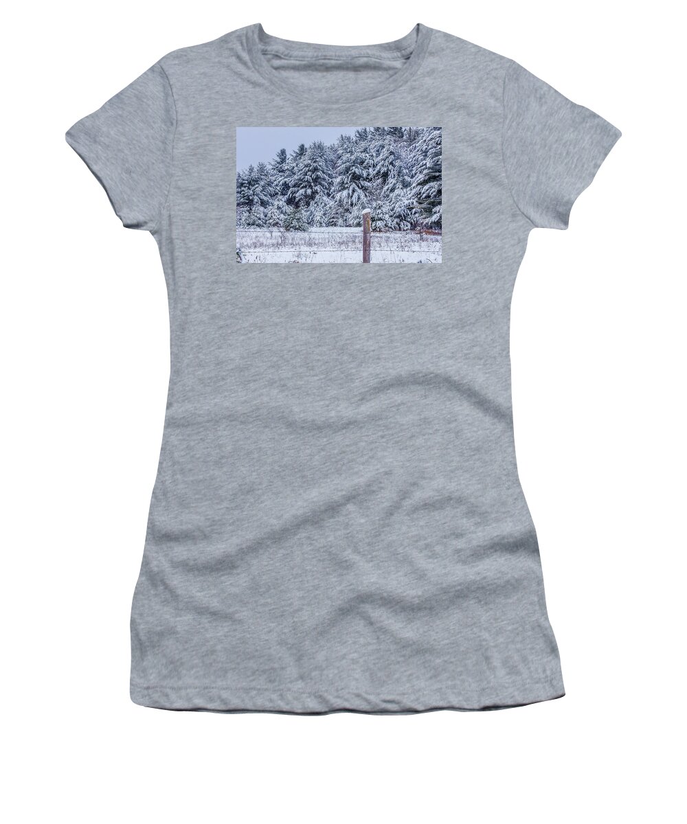 Snow Covered Pine Trees Women's T-Shirt featuring the photograph Snow Day by Rick Bartrand