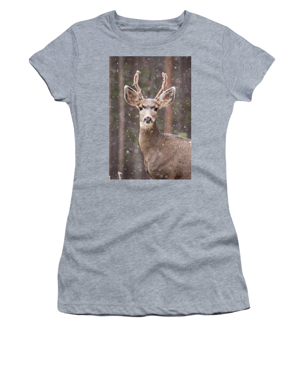 Antler Women's T-Shirt featuring the photograph Snow Deer 1 by John Wadleigh
