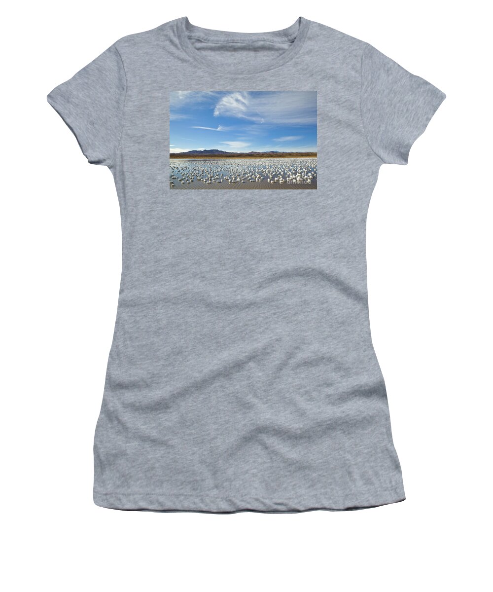 00536710 Women's T-Shirt featuring the photograph Snow Geese Bosque Del Apache by Yva Momatiuk John Eastcott