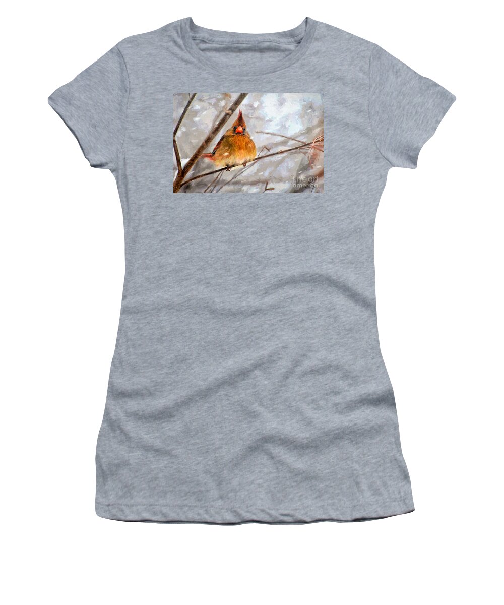 Bird Women's T-Shirt featuring the digital art Snow Surprise - Painterly by Lois Bryan