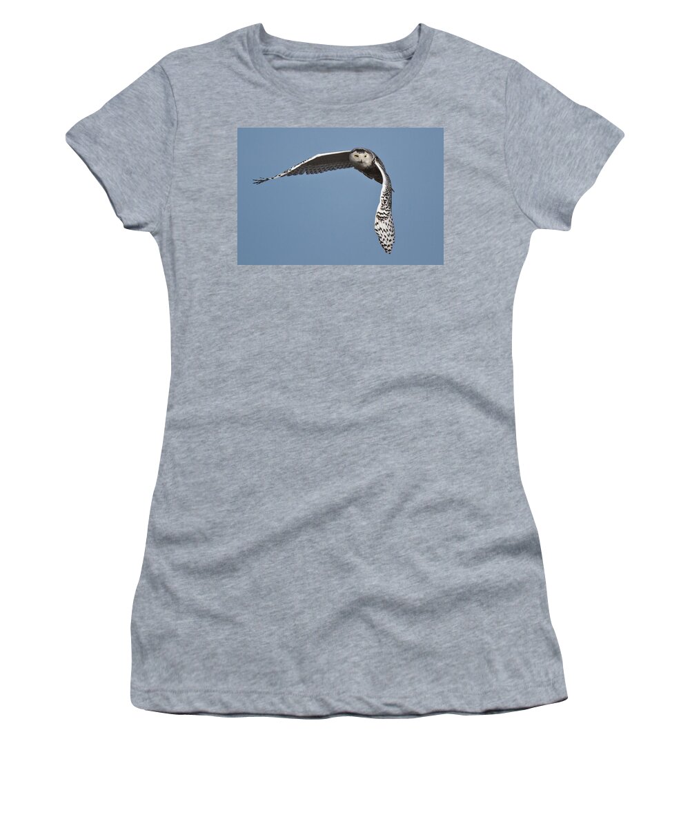 Snowy Women's T-Shirt featuring the photograph Snowy #3 by Wes and Dotty Weber