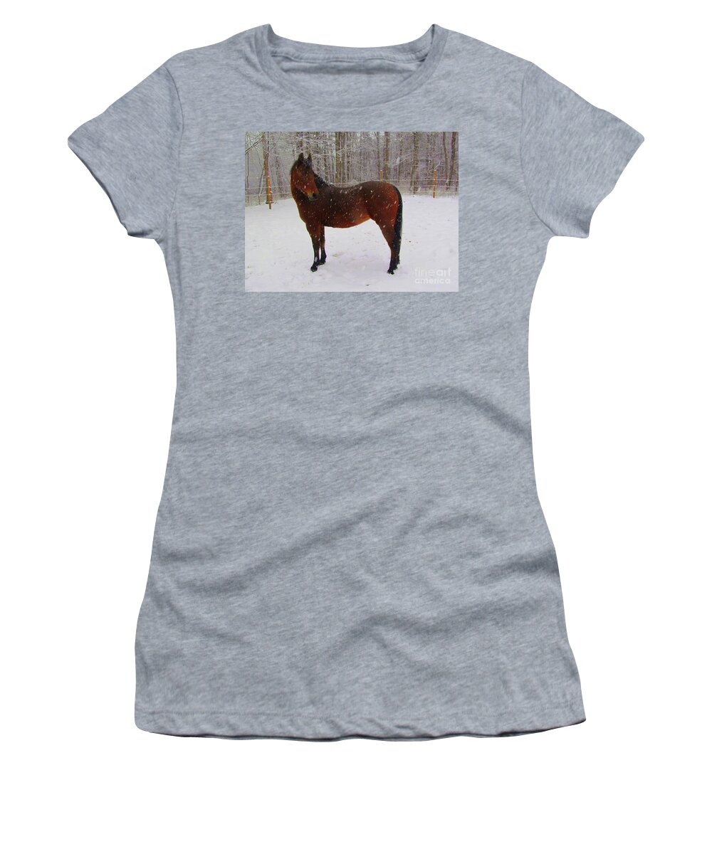Horse Women's T-Shirt featuring the photograph Snowy Day by Elizabeth Dow