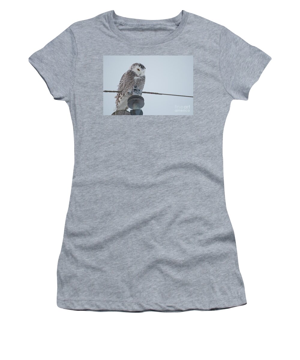 Owl Women's T-Shirt featuring the photograph Snowy Owl by Bianca Nadeau