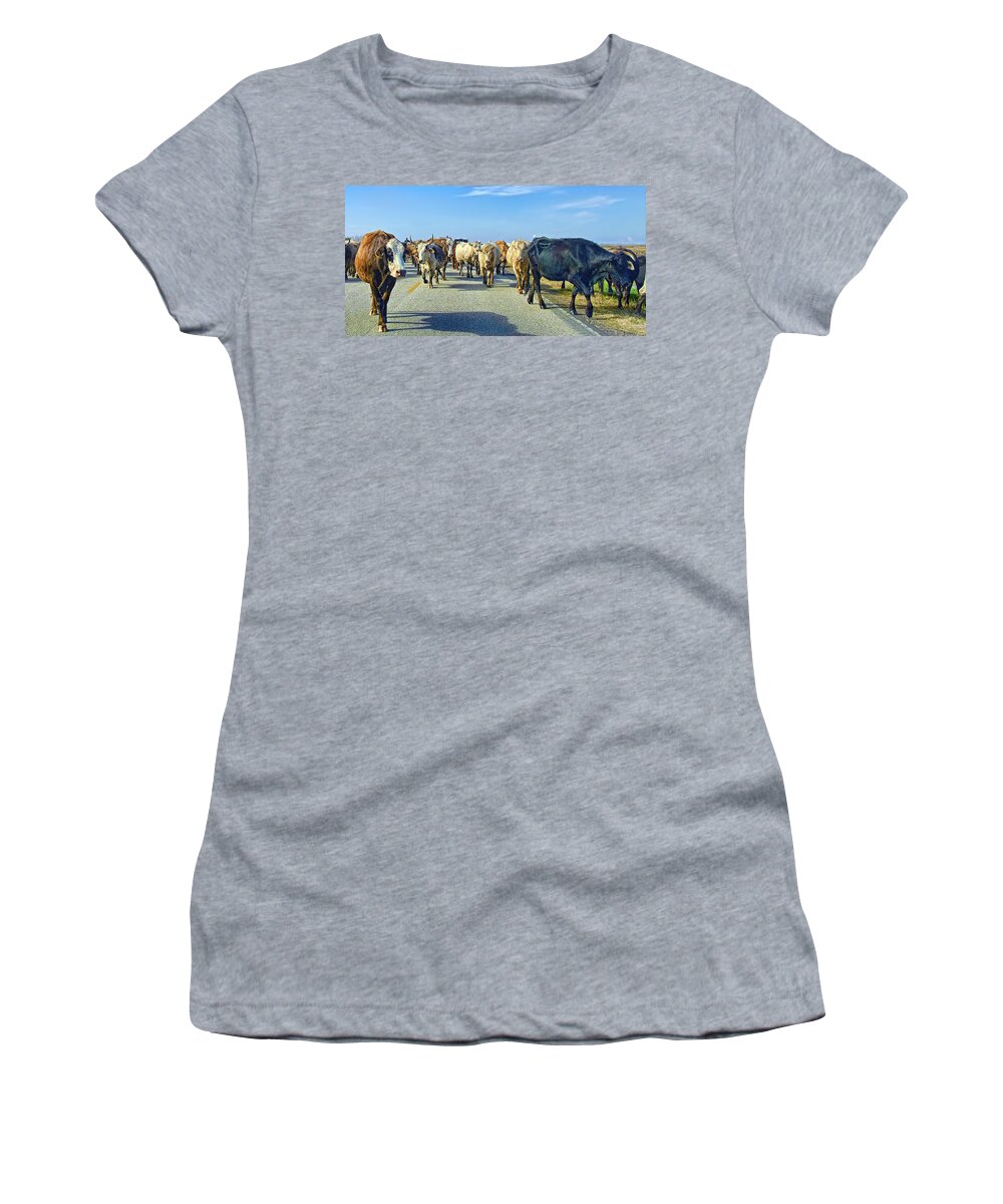 Animal Women's T-Shirt featuring the photograph So this is what Farm to Market Road means - panoramic by Gary Holmes