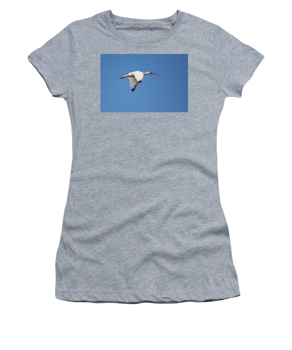 Sky Women's T-Shirt featuring the photograph Soaring White Ibis by John M Bailey