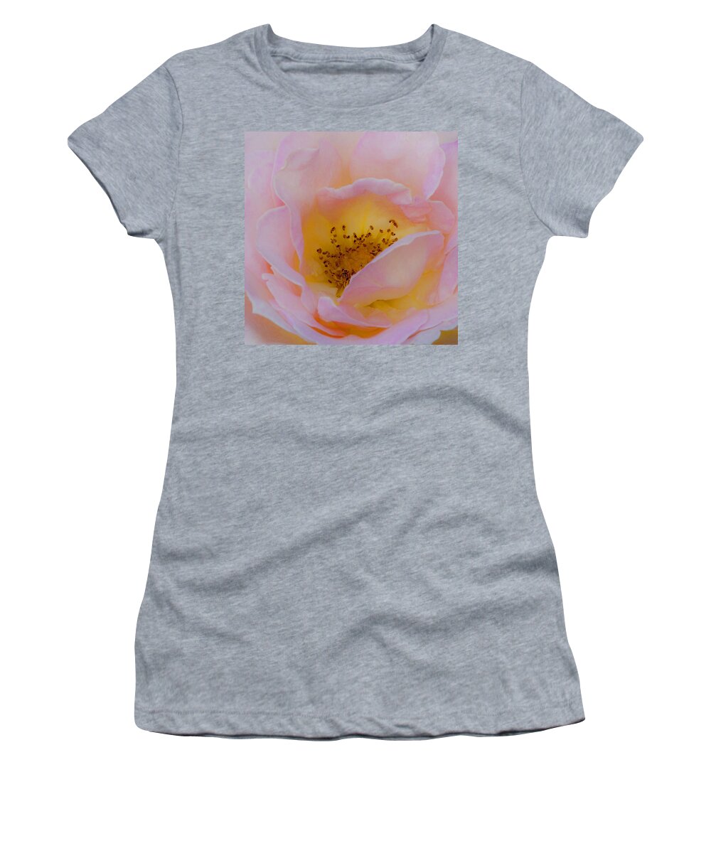 Shabby Chic Women's T-Shirt featuring the photograph Softly Rose by Theresa Tahara