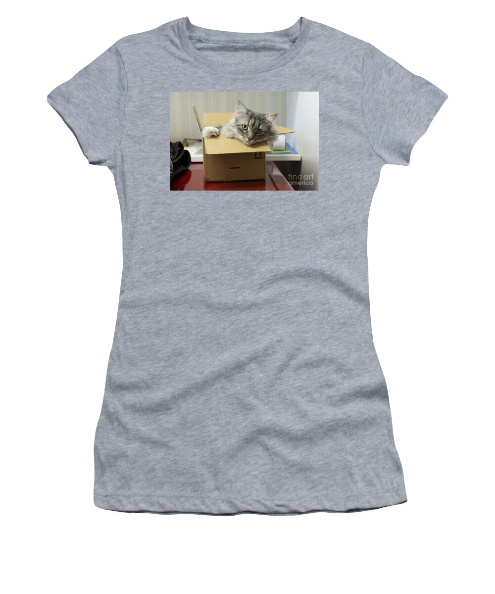 Cat Women's T-Shirt featuring the photograph Somebody sent me a cat by Louise Heusinkveld