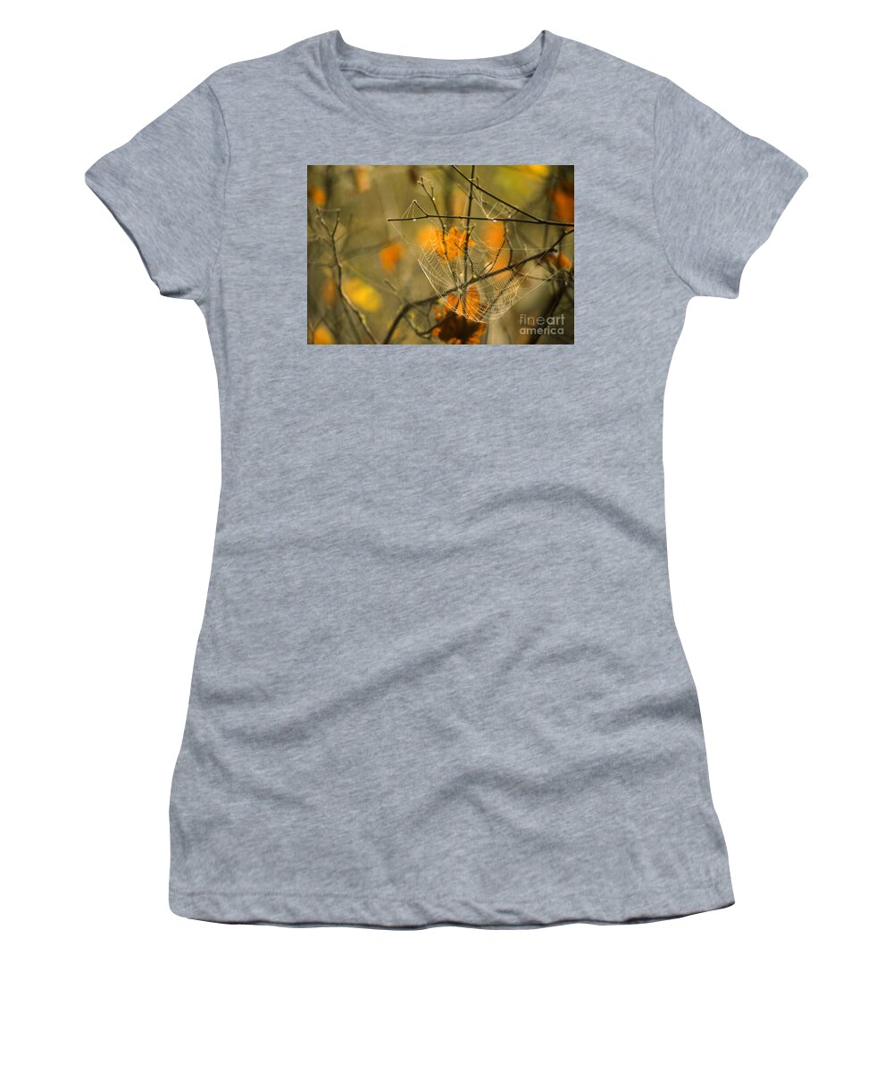 Landscape Women's T-Shirt featuring the photograph Spider Web And Autumn Leaves by Richard and Ellen Thane