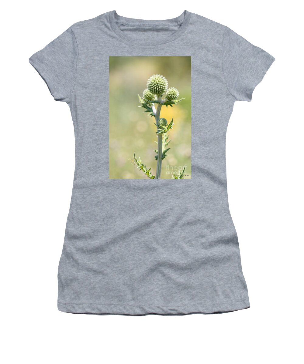 Nature Women's T-Shirt featuring the photograph Spiky green by Jivko Nakev