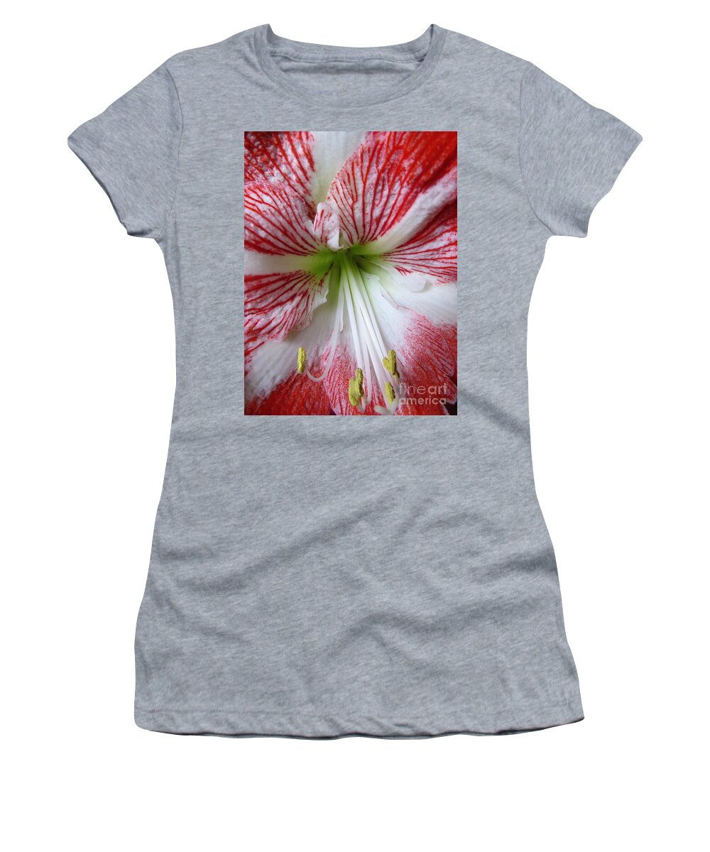 Amaryllis Women's T-Shirt featuring the photograph Splendor by Ella Kaye Dickey