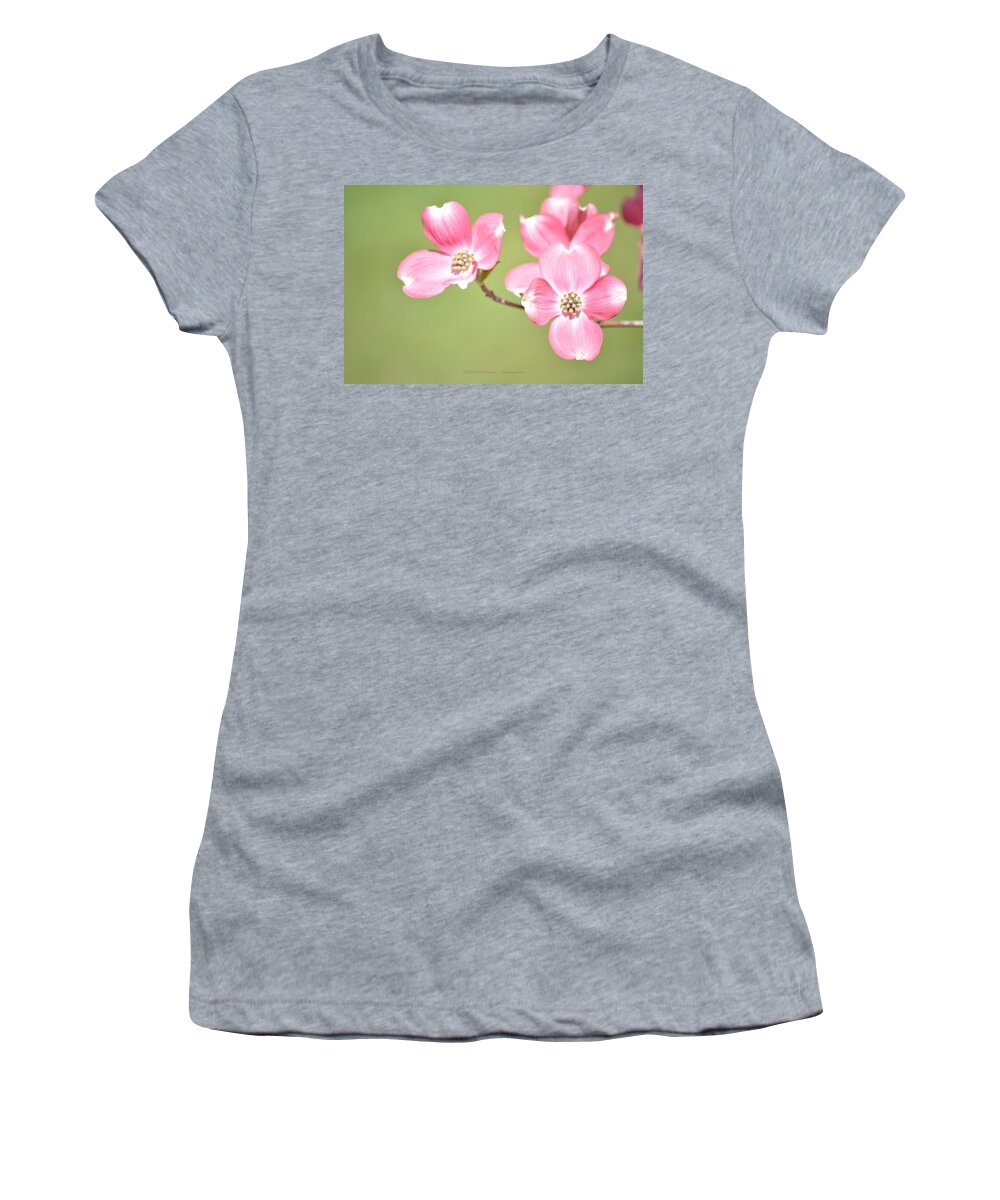 Dogwood Flower Women's T-Shirt featuring the photograph Spring Harbinger by Sonali Gangane