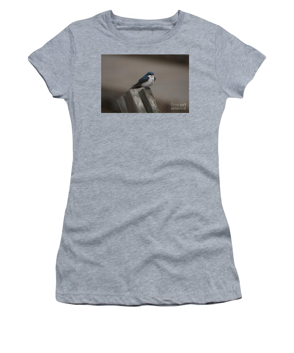 Spring Women's T-Shirt featuring the photograph Spring Swallow by Joan Wallner