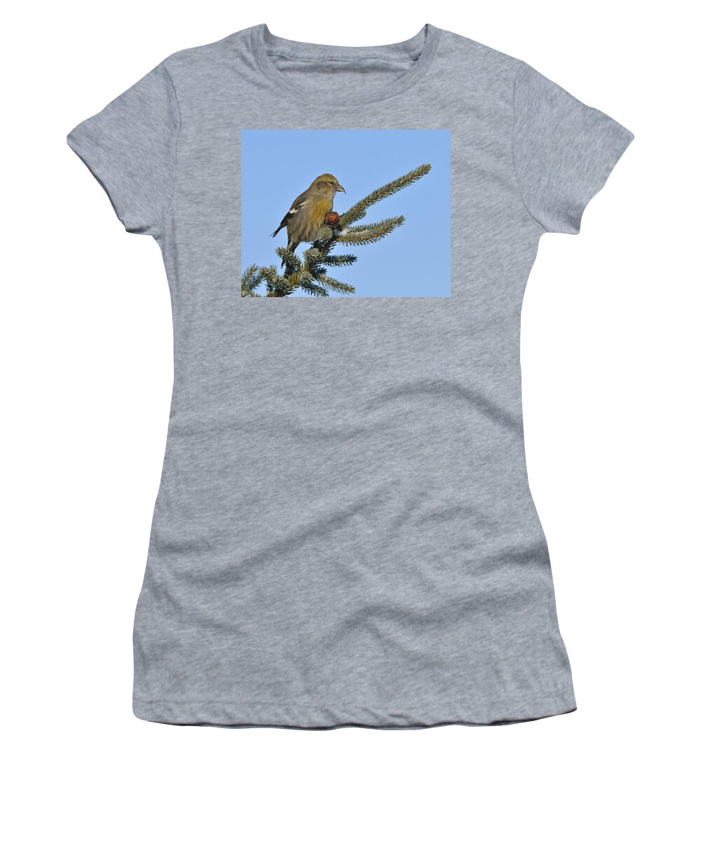 Two-barred Crossbill Women's T-Shirt featuring the photograph Spruce Cone Feeder by Tony Beck