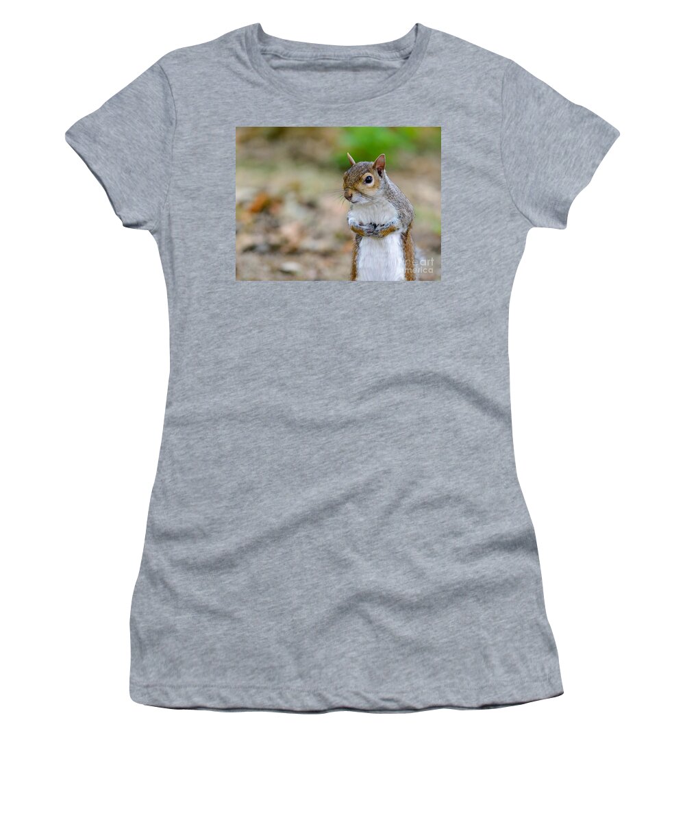 Standing Women's T-Shirt featuring the photograph Standing Squirrel by Matt Malloy