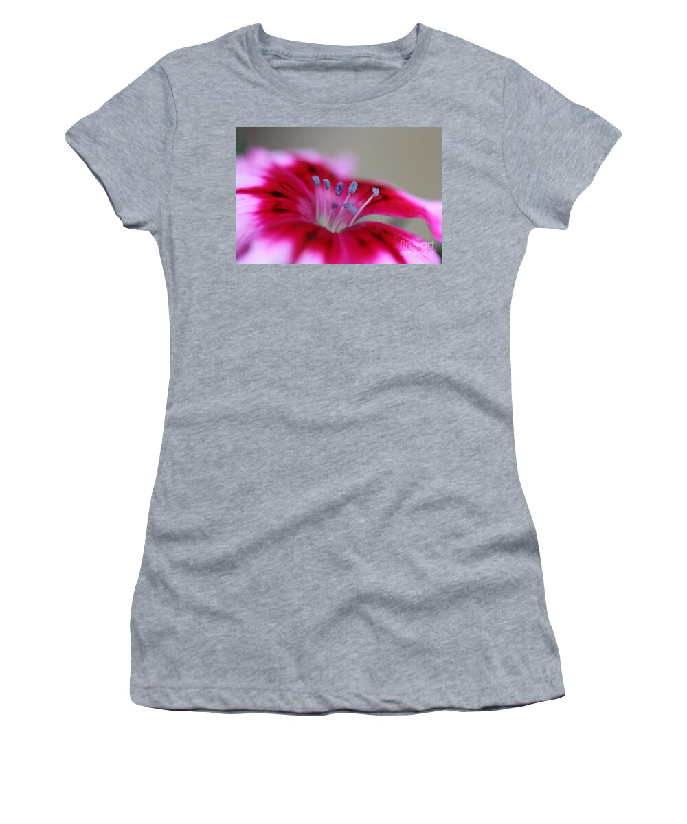 Sweet William Women's T-Shirt featuring the photograph Standing tall Sweet William by Joy Watson