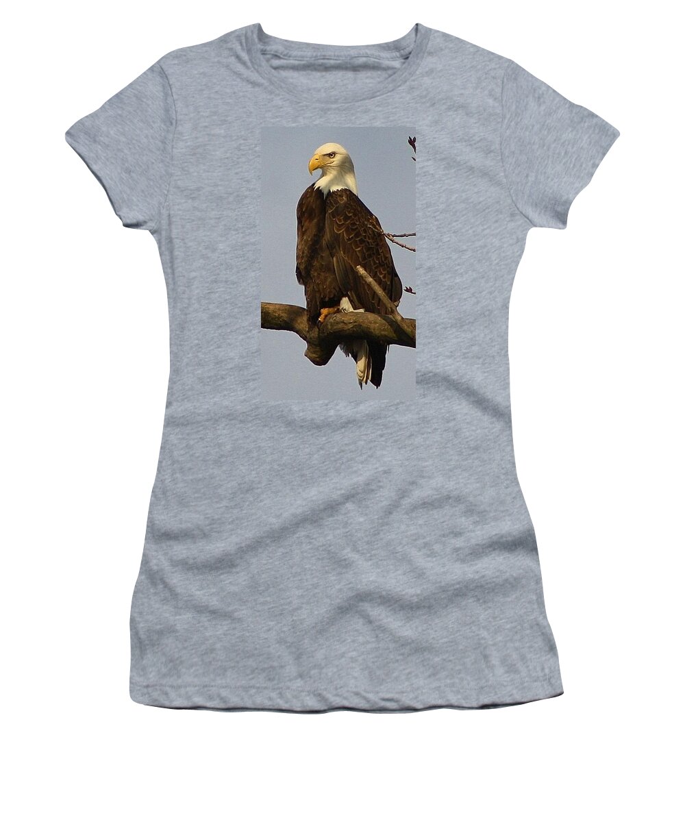 Bird Women's T-Shirt featuring the photograph Standing Watch by Bruce Bley