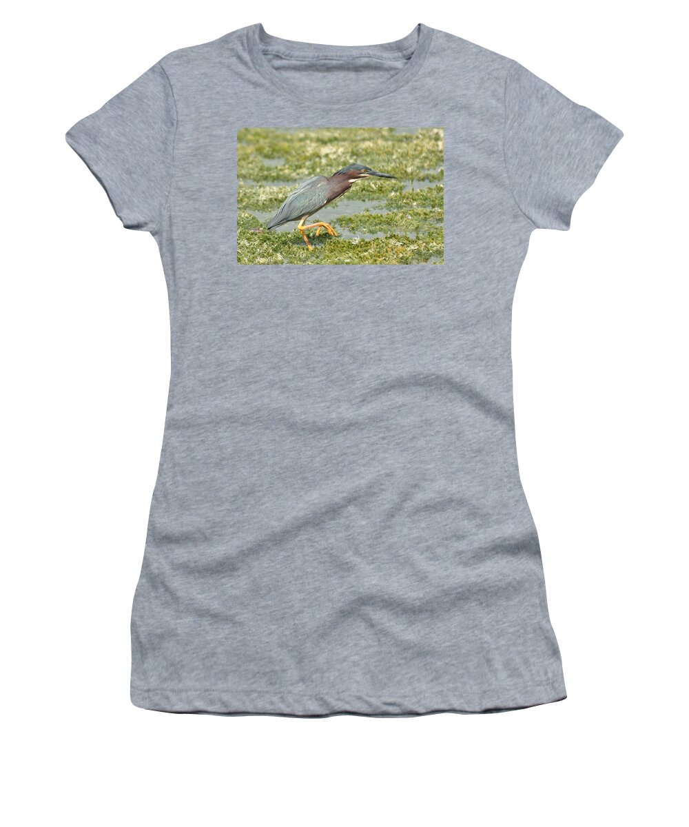 Green Women's T-Shirt featuring the photograph Still Looking by Frank Madia