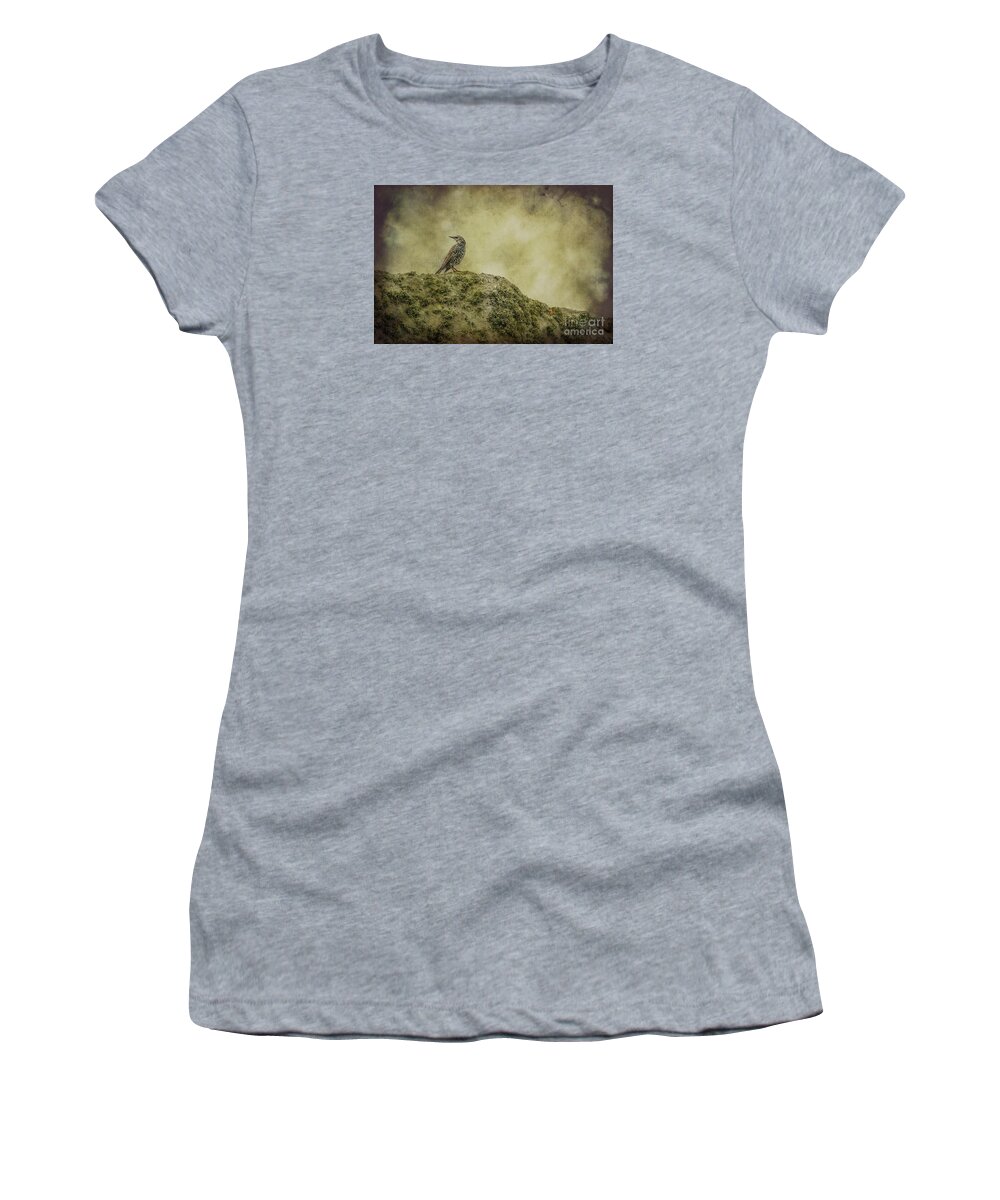 England Women's T-Shirt featuring the photograph Stonehenge Birds 3 by Clare Bambers