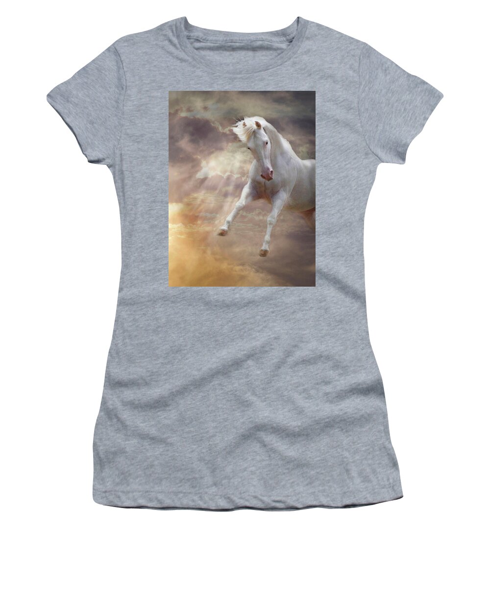 White Quarter Horse Women's T-Shirt featuring the photograph Stormy by Melinda Hughes-Berland