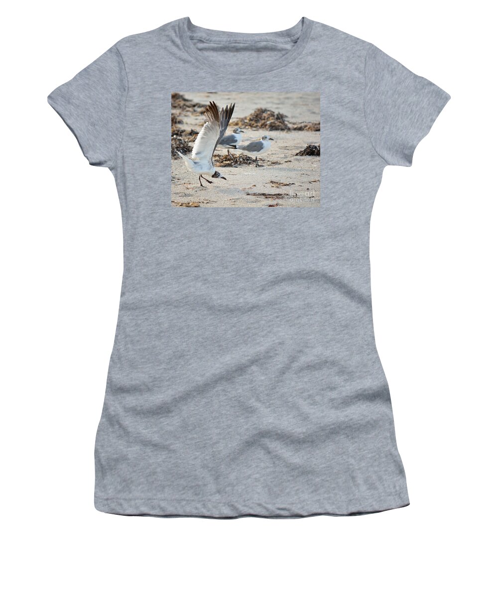 Strutting Women's T-Shirt featuring the photograph Strutting Seagull on the Beach by Patricia Twardzik