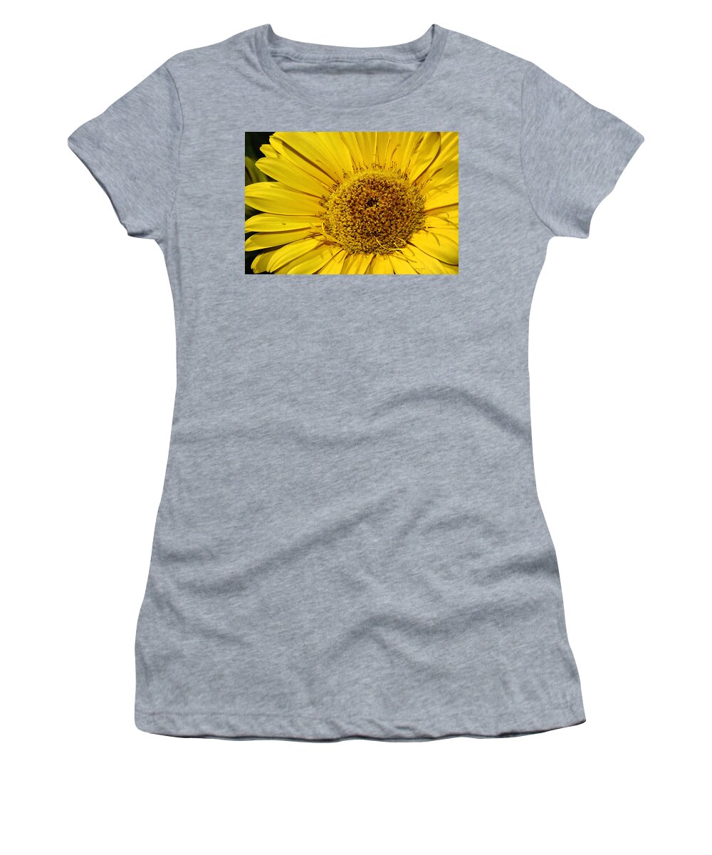 Flower Women's T-Shirt featuring the photograph Sunburst by Phyllis Denton