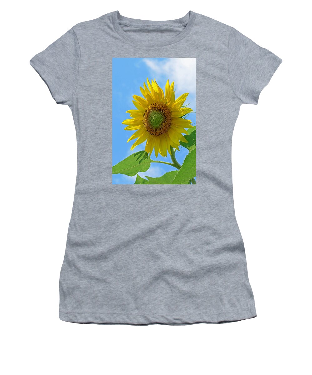 Helianthus Annuus Women's T-Shirt featuring the photograph Sunflower Against Blue Sky by Lisa Phillips