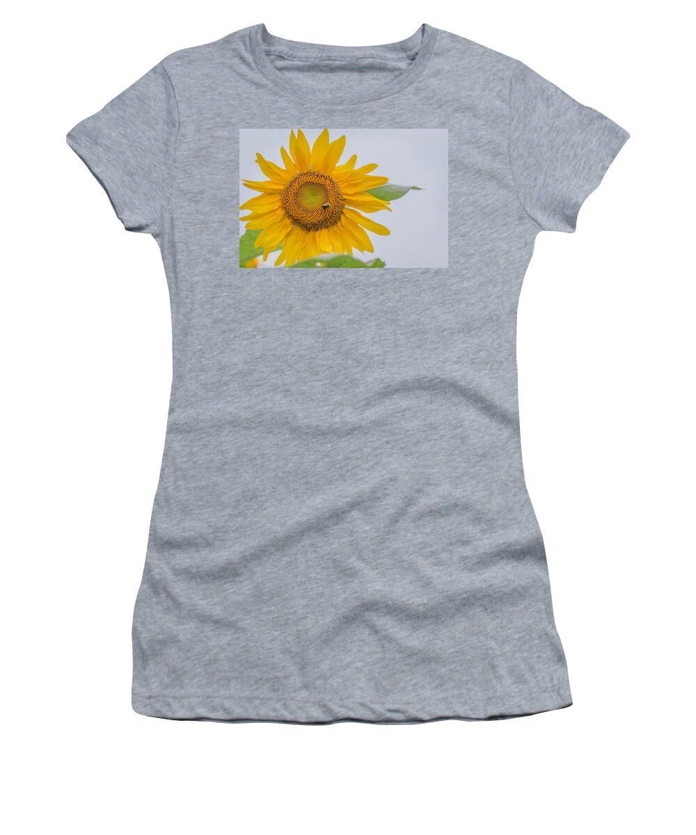 Sunflower Women's T-Shirt featuring the photograph Sunflower and Bee by Amber Flowers