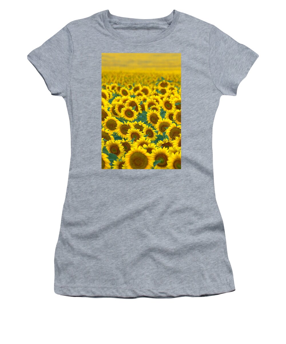 Sunflower Women's T-Shirt featuring the photograph Sunflower Explosion by Ronda Kimbrow