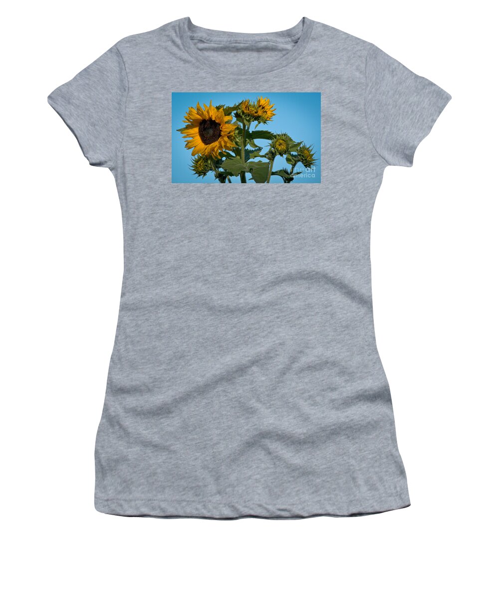 Sunflower Women's T-Shirt featuring the photograph Sunflower Morning by Cheryl Baxter