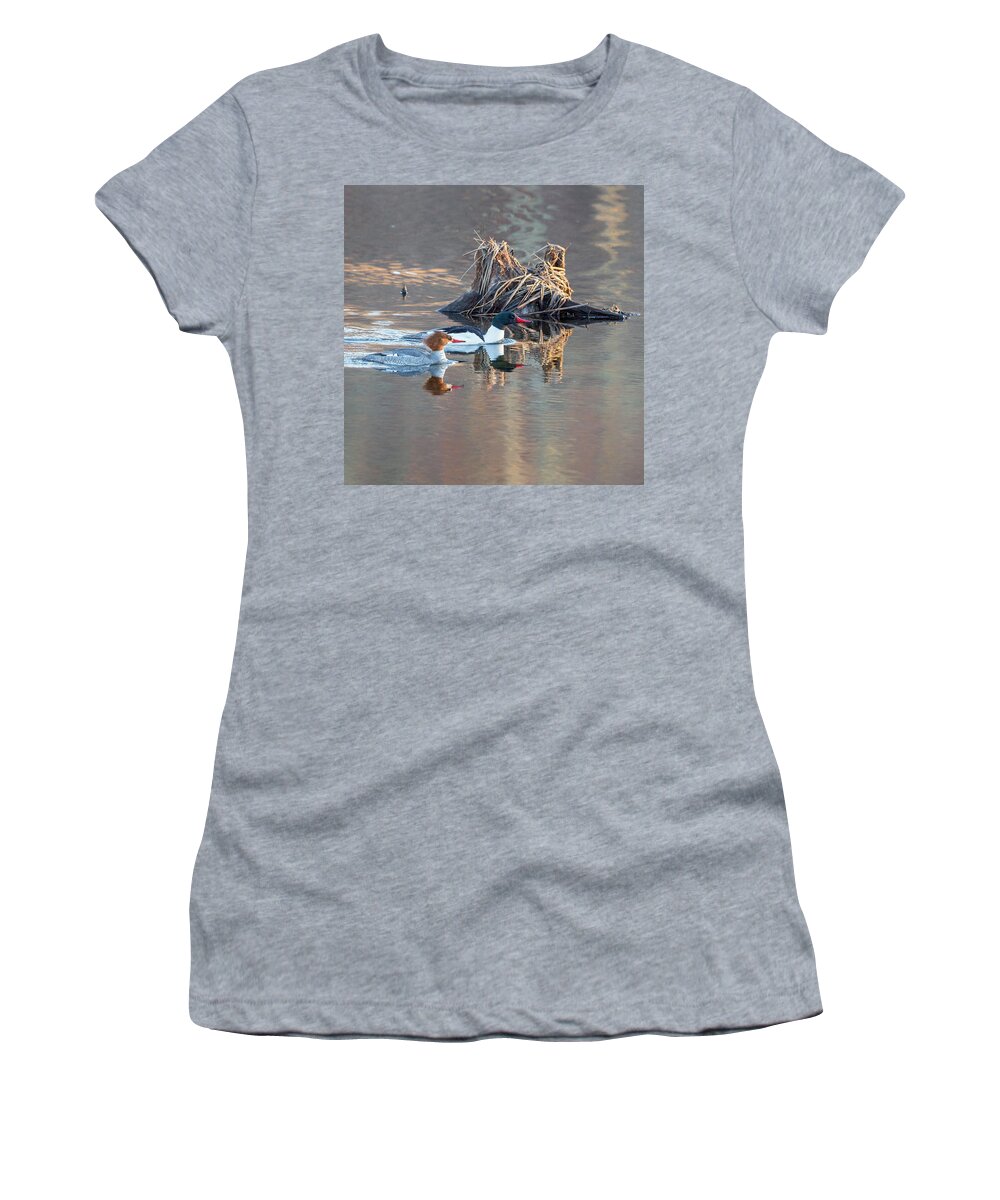 Reflection Women's T-Shirt featuring the photograph Sunrise In The Swamp Square by Bill Wakeley