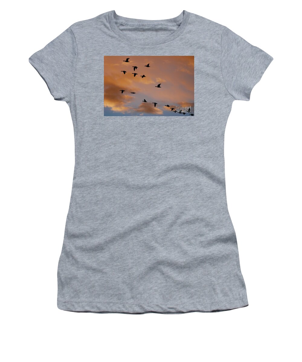 Sandhill Cranes Women's T-Shirt featuring the photograph Sunset at Bosque del Apache by John Greco