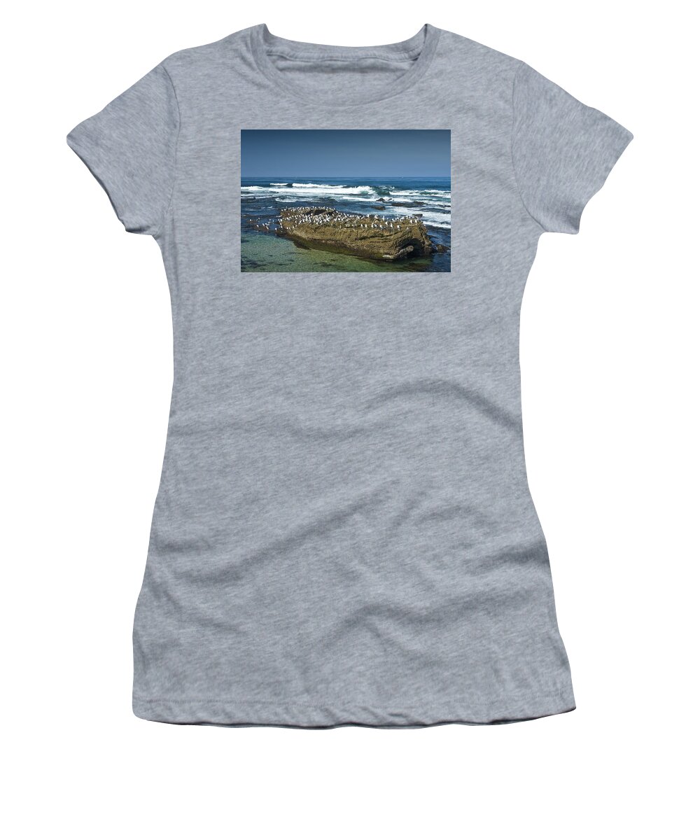 Ocean Women's T-Shirt featuring the photograph Surf Waves at La Jolla California with Gulls perched on a Large Rock No. 0194 by Randall Nyhof