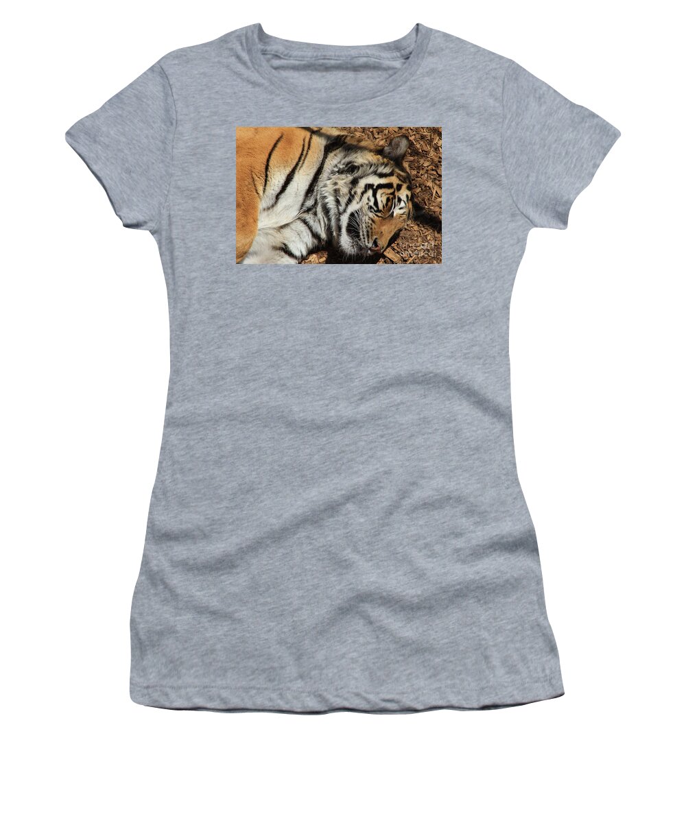 Tiger Women's T-Shirt featuring the photograph Sweet Dreams by Fiona Kennard