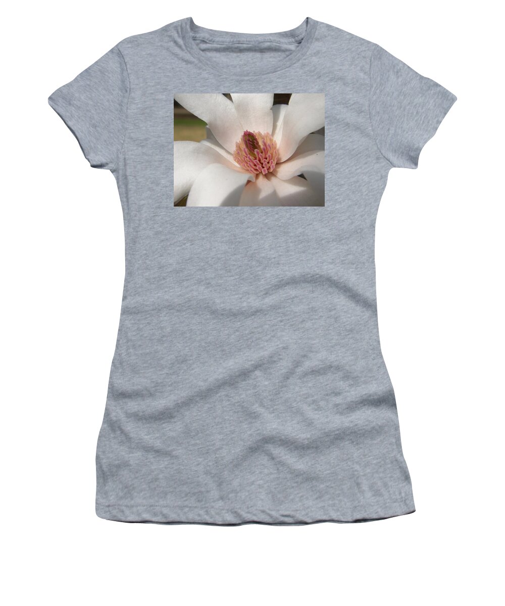 Star Magnolia Women's T-Shirt featuring the photograph Sweet Star Magnolia by Caryl J Bohn