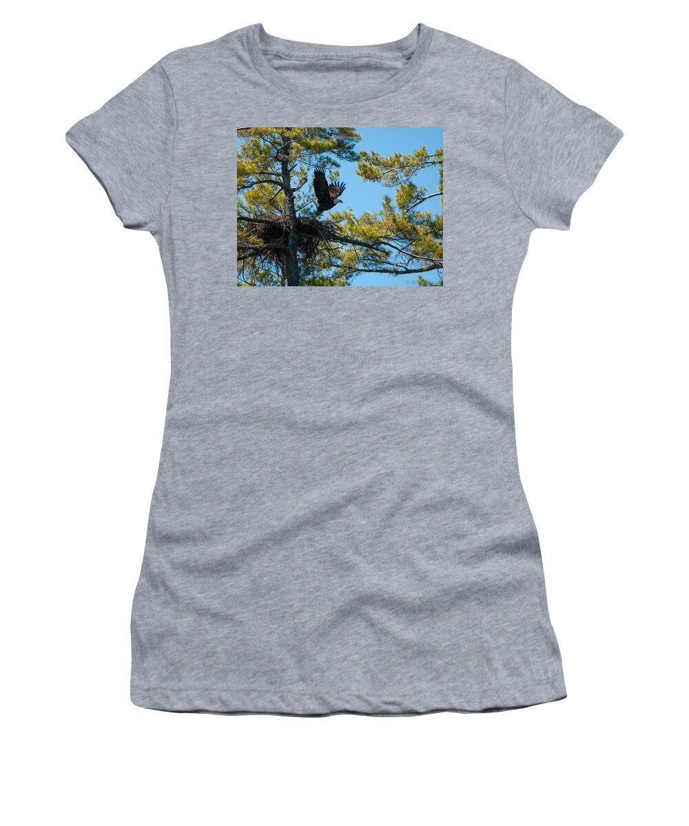 Bald Eagle Women's T-Shirt featuring the photograph Taking Flight by Brenda Jacobs